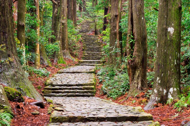 Sentier ancien de Kumano Kodo à Nachi, Wakayama, Japon