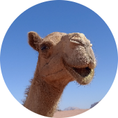 Photo de Marie-Françoise S.