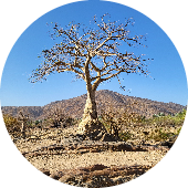 Photo de Jocelyne D.