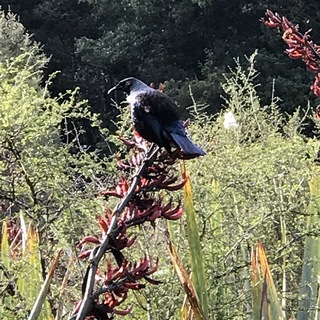 Photo de Frédéric P.