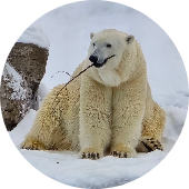 Photo de Jean-Francois L.