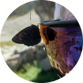 Photo de Jean-Louis N.